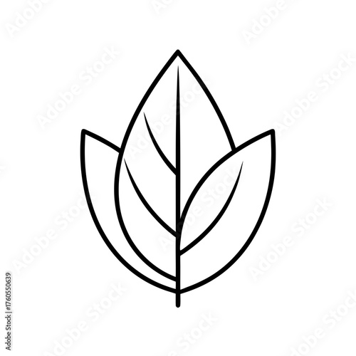 Illustration of three leaves in a simple line art on transparent background