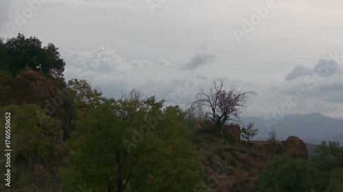 Time lapse in a field in southern Spain, with trees bearing green leaves and a cloudy sky.