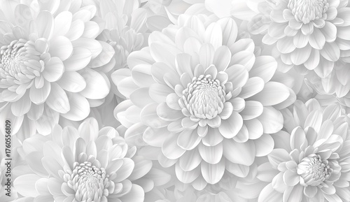 3D render of elegant white chrysanthemum flowers pattern, grayscale, seamless background with large chrysanthemums and petals, fine line art drawing, illustration