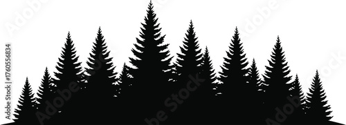 Silhouette forest nature landscape evergreen trees woodland pine fir background vector art vector