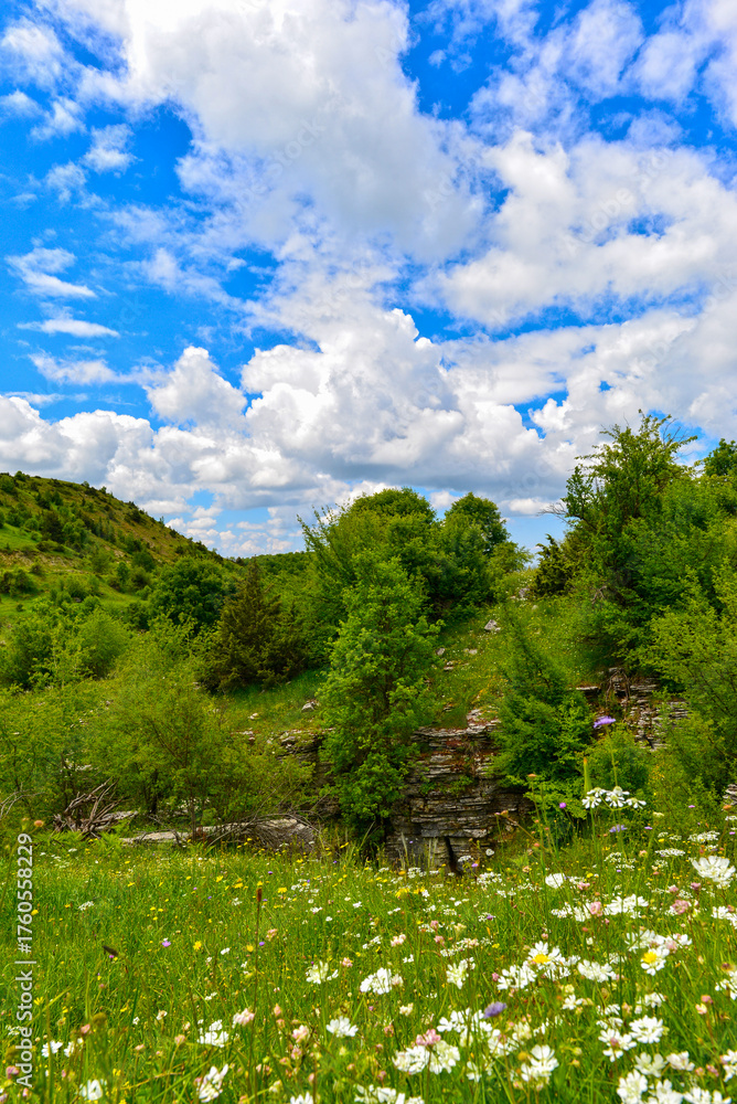 Naklejka premium Wanderweg in Vradeto zum Aussichtspunkt Beloi in der griechischen Region Zagori (Epirus)