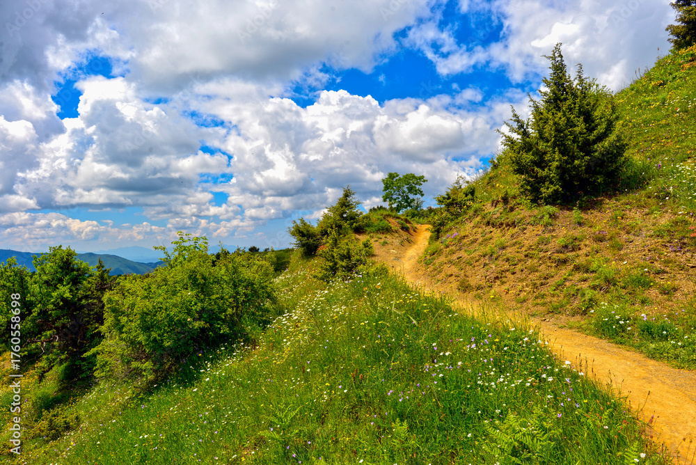 Obraz premium Wanderweg in Vradeto zum Aussichtspunkt Beloi in der griechischen Region Zagori (Epirus)