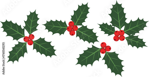 Festive holly berry garland christmas winter holiday decoration seasonal celebration element vector