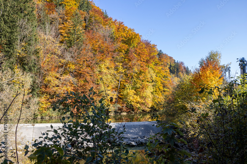 Fototapeta premium Fluss bei Schindellegi im Herbst