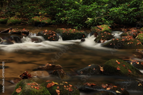 Herbst-Bilder aus dem Nordschwarzwald