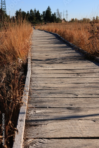 Herbst-Bilder aus dem Nordschwarzwald