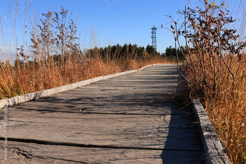 Herbst-Bilder aus dem Nordschwarzwald