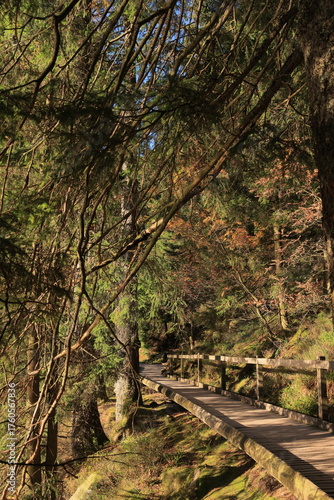 Herbst-Bilder aus dem Nordschwarzwald