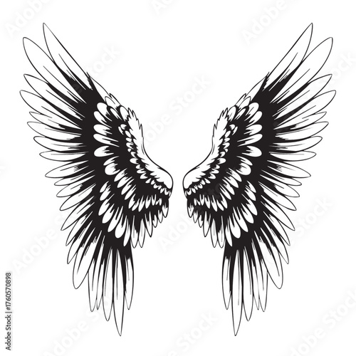Black and white hand drawn illustration of a pair of majestic angel wings.