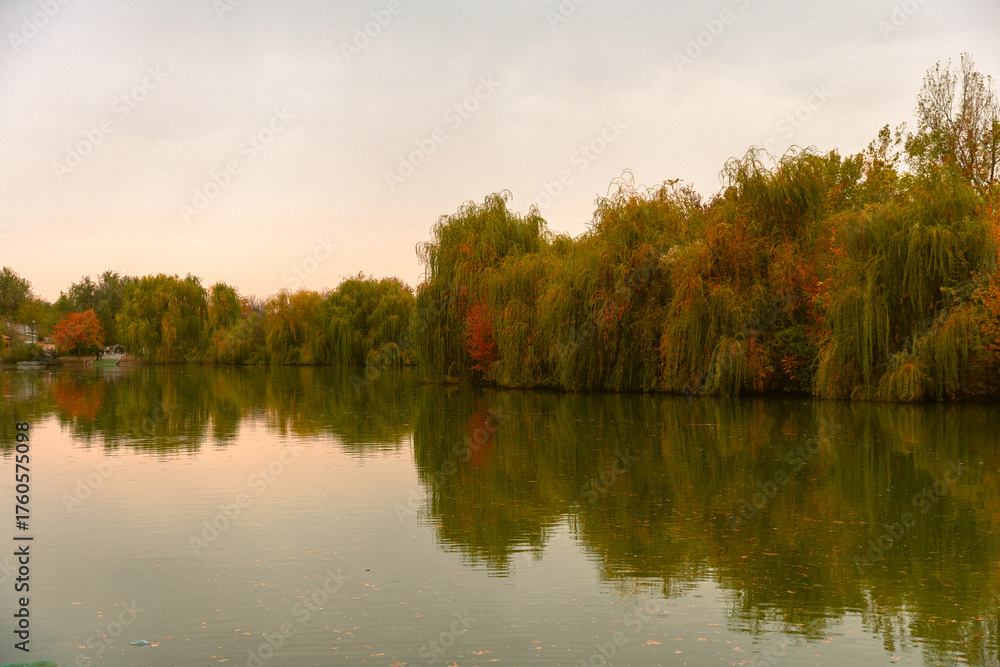 Obraz premium lake in autumn