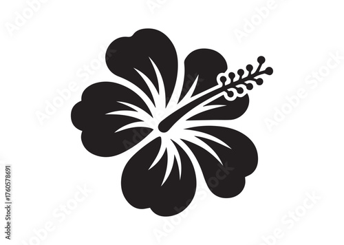 Hibiscus flower icon, Hibiscus flower solid vector