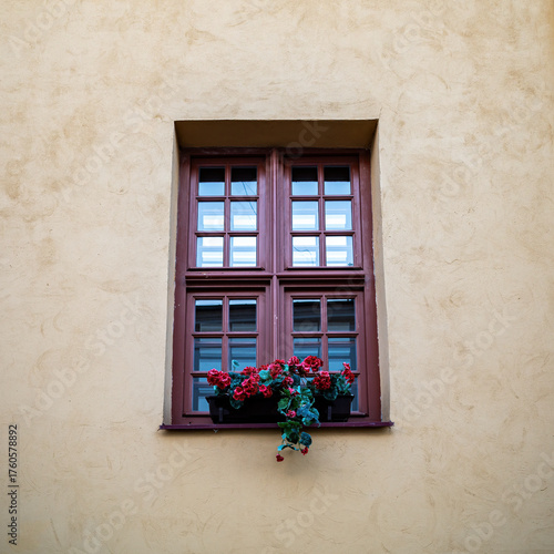 Photography window with flowers on a light-colored wall