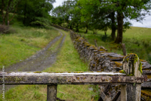 Scottland Lanschaft