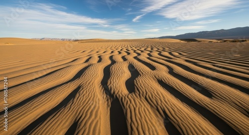 Fototapeta Naklejka Na Ścianę i Meble -  The vast, arid landscape of Death Valley, California, with its characteristic sand dunes and mountains in the distance.
