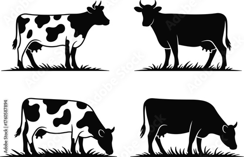 Cow silhouette illustration set, farm animal icons, spotted and solid cattle artwork, grazing livestock design, agricultural educational graphic collection