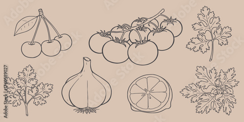 Outline drawing of cherries tomatoes cilantro garlic and lemon on a light brown background image