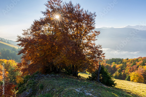 Sunrise in autumn colors