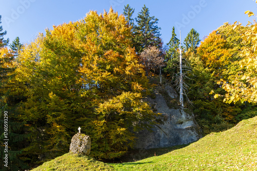 Color palette of autumn landscape