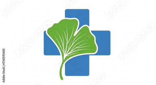 Ginkgo biloba leaf with a blue cross symbolizes alternative medicine, herbal remedies, and holistic healthcare practices