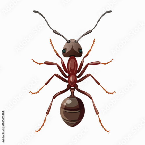 Ameise in Nahaufnahme