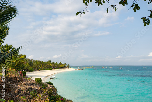 Tropical beach with palm trees