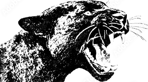 Roaring panther head in black monochrome vector illustration. Detailed and powerful wildlife art showcasing the fierce expression of this predatory feline.