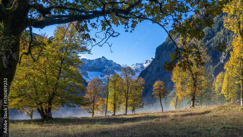 Fototapeta premium Blick durch die Bäume zu Schneebedeckte Berge