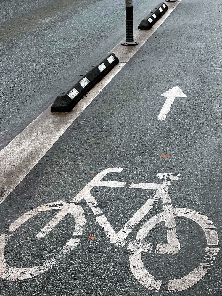 Obraz premium Bicycle lane marking with direction arrow on wet asphalt, city cycling infrastructure after rain.