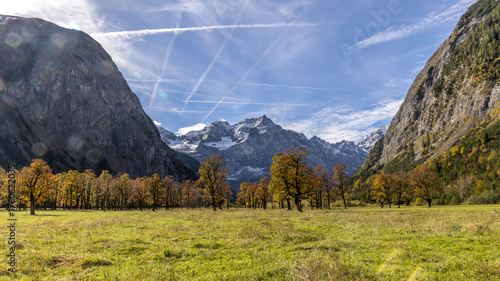 Ahornbäume vor den Bergen