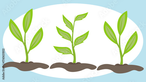 Green spring sprouts grew out of the ground