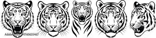 Tiger face illustration set, roaring and calm expressions, wild animal vector art, black and white jungle predator design
