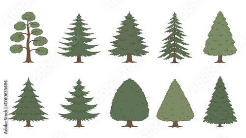 Collection of diverse evergreen trees and a deciduous tree illustration