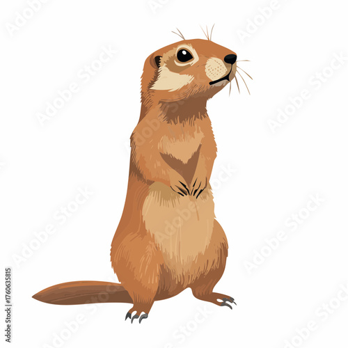 Ein niedlicher Präriehund steht aufrecht auf den Hinterpfoten,