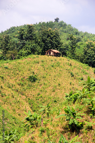 landscape in the mountains