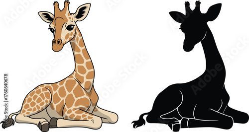 Cute cartoon giraffe sitting down with matching black silhouette, adorable animal illustration for kids, wildlife design, vector art for education and print