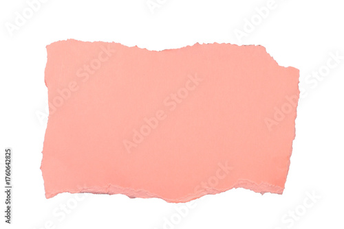 Wallpaper Mural Un morceau de carton brut rose et déchiré sur un fond transparent. Un espace de copie. Torontodigital.ca