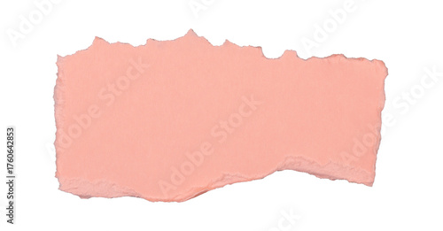 Wallpaper Mural Un morceau de carton brut rectangle rose et déchiré sur un fond transparent. Un espace de copie. Torontodigital.ca