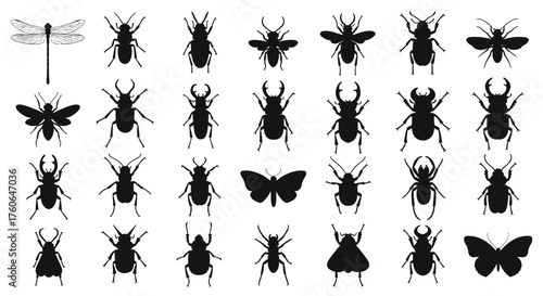 A collection of detailed black insect silhouettes showcasing diverse arthropod species
