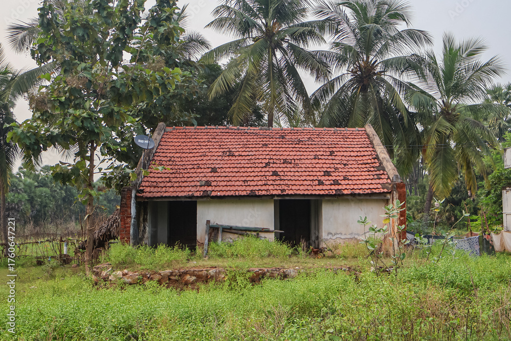 Obraz premium Traditional home in the middle of palm trees, also called Tiled house. Indian rural house of a small family. 