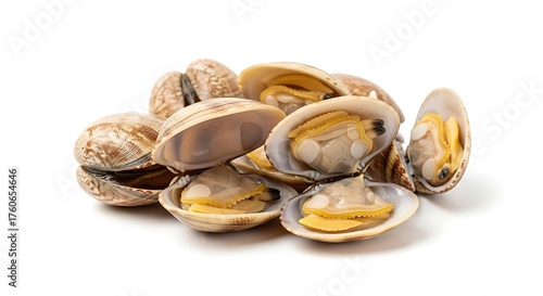 Pile of fresh raw clams isolated on white background for seafood dish