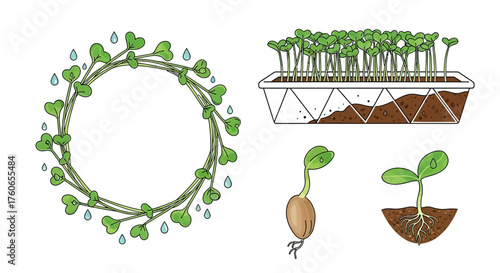 Elegant urban farming vector elements with microgreen wreath, planting tray, and sprouting seed for sustainable food branding