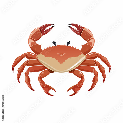 Sandkrebs mit kleinen Scheren