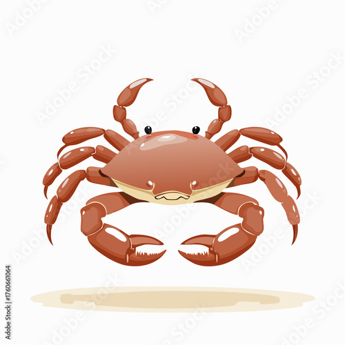 Sandkrebs mit kleinen Scheren