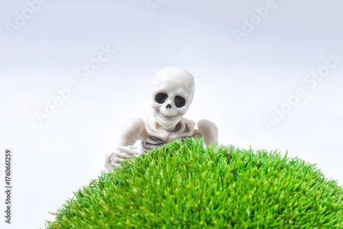 Human toy skeleton lying on front on moss, spooky playing hide and seek