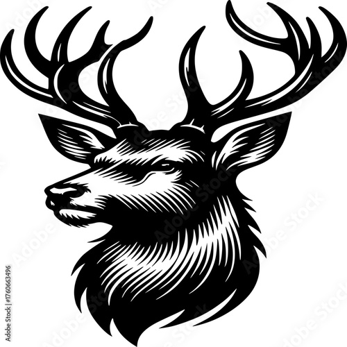 Majestic Deer Profile: An elegant, detailed monochrome image of a deer's head, showcasing its impressive antlers and regal demeanor.