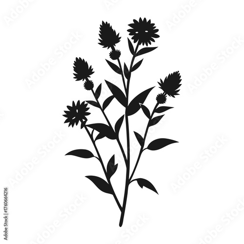 Heath aster flower drawing vector illustration of wild blooming plant for design and decoration