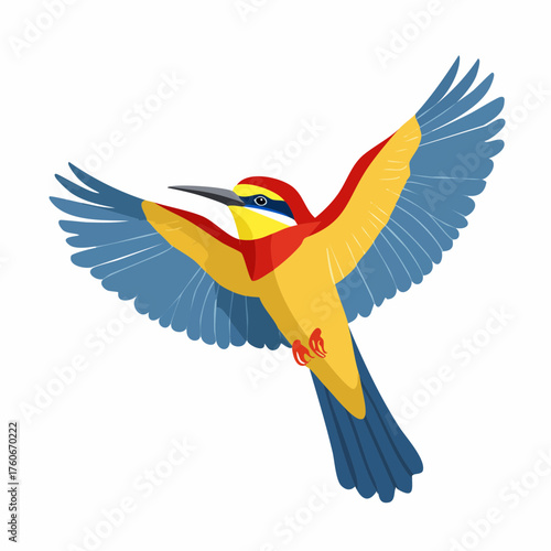 Europäischer Bienenfresser 