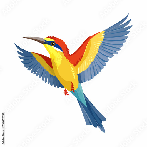 Europäischer Bienenfresser 