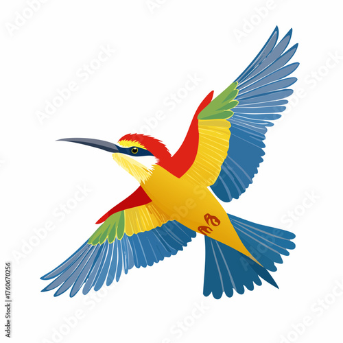 Europäischer Bienenfresser 