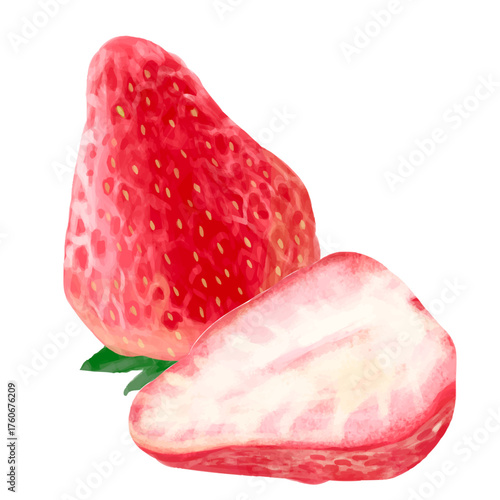 strawberry illustration